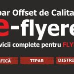logo e-flyere.jpg
