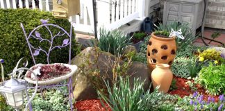 Tot ce trebuie sa stii despre amenajarea unei gradini