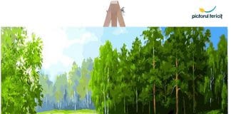 pictura pe numere pictorulfericit.ro