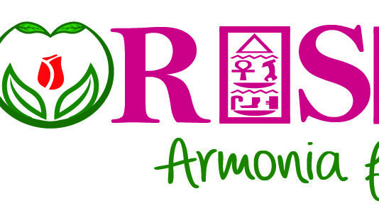 5 aspecte de verificat la o florarie online