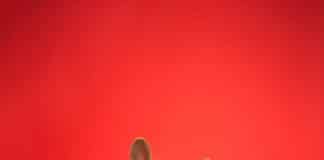 Lady Gaga a investit 60 de mii de dolari in pesti. Ce alte vedete cheltuie mii de dolari pe animalutele lor?