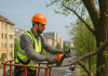 Pot închiria o nacelă pentru lucrări de tăiere a arborilor în Cluj? Pot închiria o nacelă pentru lucrări de tăiere a arborilor în Cluj