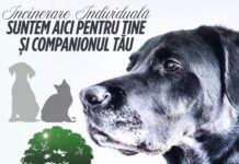 incinerare catel Constanta