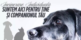 incinerare catel Constanta