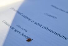 Cum ne ajută literatura fantasy să construim punți către adolescenți atunci când vorbim despre curaj?