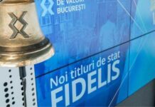 Apetitul pentru titlurile de stat Fidelis s-a temperat – 15.11.2025