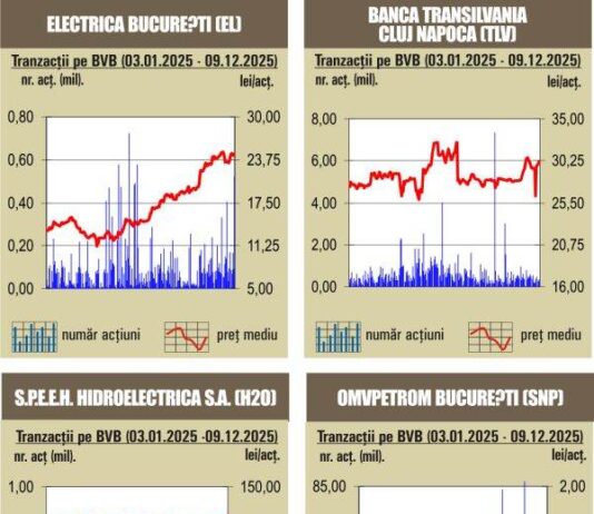 BVB Aprecieri pentru indici – 10.12.2025
