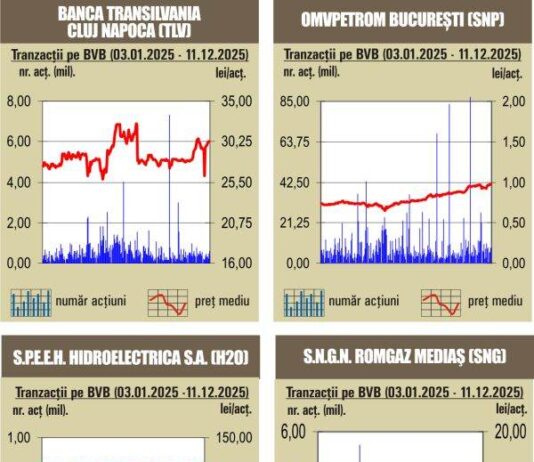 BVB Aprecieri pentru indici, pe fondul unui rulaj sub media anului – 12.12.2025