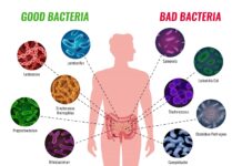 Clostridium difficile