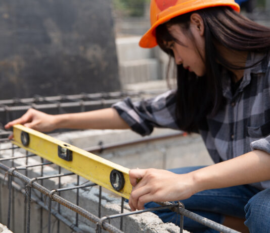 Cum protejează structura metalică împotriva dăunătorilor?