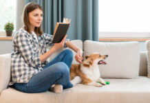 Pet sitter în București pentru căței și ce așteptări realiste merită să îți faci Pet sitter în București pentru căței și ce așteptări realiste merită să îți faci