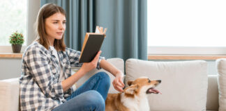 Pet sitter în București pentru căței și ce așteptări realiste merită să îți faci