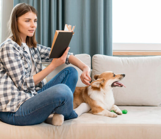 Pet sitter în București pentru căței și ce așteptări realiste merită să îți faci