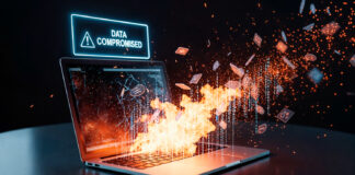 Phishing, ransomware, fraudă financiară: 5 atacuri care pot produce pierderi reale pentru un IMM