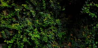 Cum pot proteja chiuveta exterioară în condiții meteo nefavorabile?