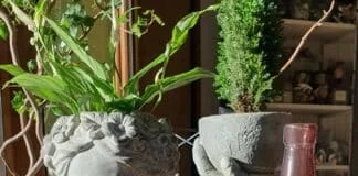 decodepot