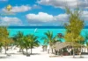 Cum să ai parte de o vacanță reușită sută la sută cu agenția ta de turism Bonaventura acanta-in-zanzibar-pe plaja exotica cu agentie de turism bonaventura