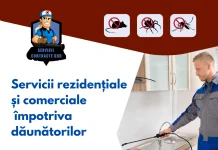 Servicii DDD
