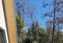 Descoperă Împărăția Mlăcilor – Oază de Liniște și Relaxare Aproape de Pitești