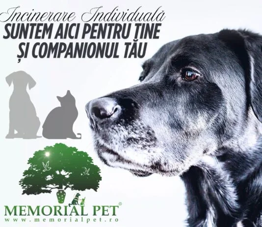 Incinerare animale de companie în Constanța – servicii Memorial Pet cu respect și empatie incinerare catel Constanta