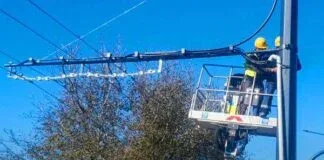 TradeVille: IPO-ul Grup EM, în desfăşurare – 10.10.2025